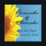 Íman Céu azul de Verão com girassol amarelo<br><div class="desc">Linda imagem cênica de girassol amarelo brilhante contra o céu azul com nuvens brancas. Perfeito para um tema de casamento de verão. Convite de casamento e conjunto acessório correspondente. © 2010 www.CustomInvitesOnline.com Este item está disponível como uma coleção completa de casamento, incluindo convites, cartões RSVP, Salvar Datas, Magnets, Autocolantes, Cartões...</div>