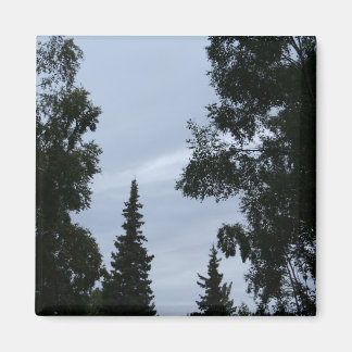 Íman Céu do Alasca