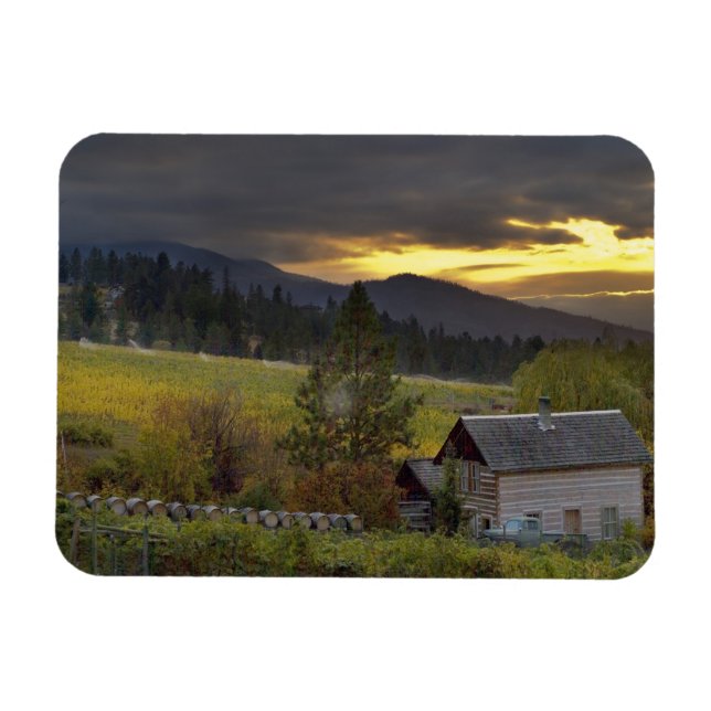 Íman Céu do pôr do sol sobre vinhas e cabana histórica  (Horizontal)