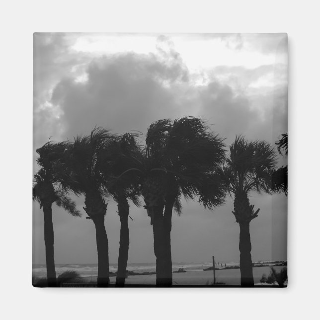 Íman Céus Cinzas de Tempestade Tropical (Frente)
