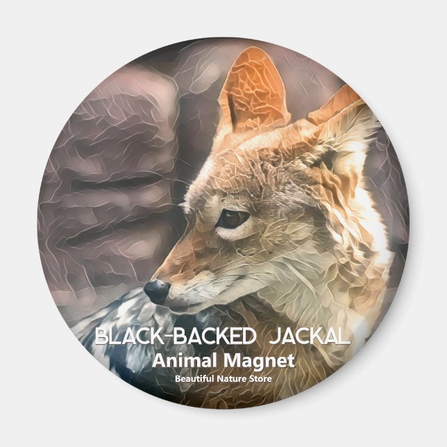 Íman Chacal-de-dorso-preto (Frente)