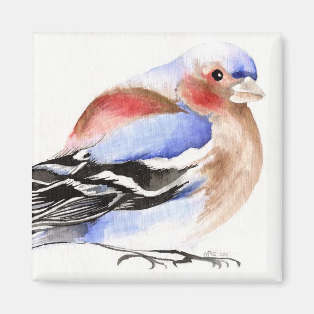 Íman Chaffinch 2011 Colorido (Frente)