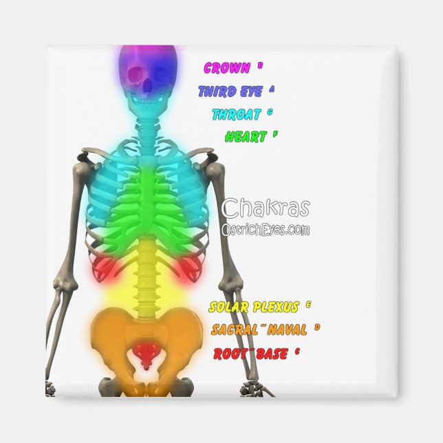 Íman Chakras Skeleton Magnet (Frente)