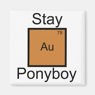 Íman Chalaça Dourado do elemento de Ponyboy da estada
