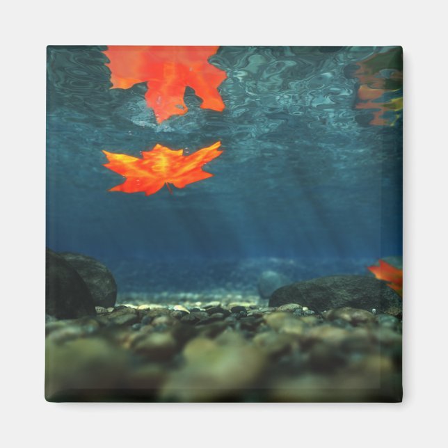 Íman Chama no ímã de água (Frente)