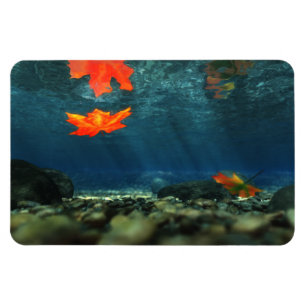 Íman Chama no ímã flexível da água