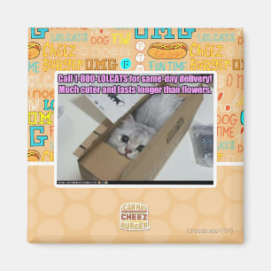 Íman Chamada 1-800-LOLCATS