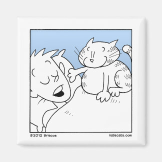 Íman Chamada de Acordar de Cat