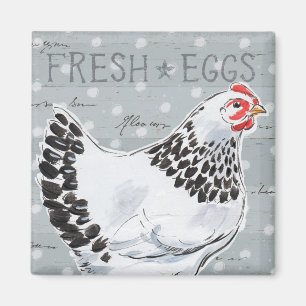 Íman Chamada II dos galos