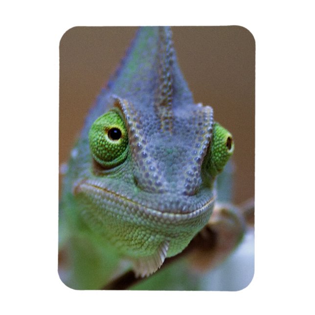 Íman Chameleon velado (Vertical)