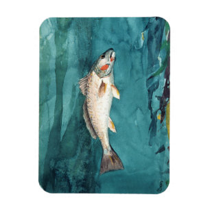 Íman Channel Bass Fish American Painting of Homer