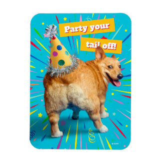 Íman Chapéu de Aniversário Bumbum de Corgi