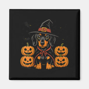 Íman Chapéu de Bruxa de Halloween para Cachorro Dachshu