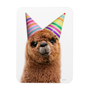 Íman Chapéus do Partido Vestindo Alpaca