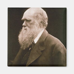 Íman Charles Darwin (1809-82) (foto)
