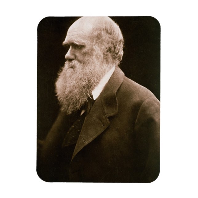 Íman Charles Darwin (1809-82) (fotografia) (Vertical)