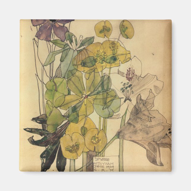 Íman Charles Rennie Mackintosh - Spurge Com Yham 1909 (Frente)