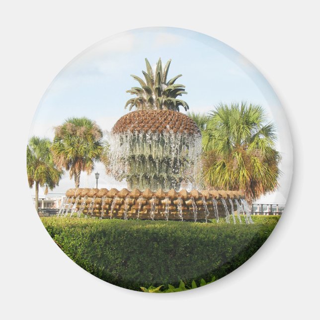 Íman Charleston SC Pineapple Fountain, Waterfront Park (Frente)