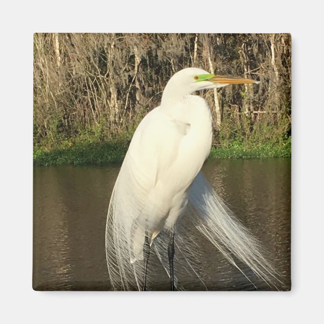 Íman Charlie (Frente)