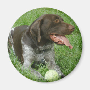 Íman Charlie Magnet