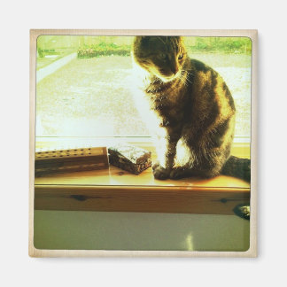 Íman Charlie Na Janela