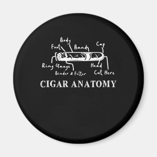 Íman Charuto Anatomia Fumante Humidor Cortador Charutos