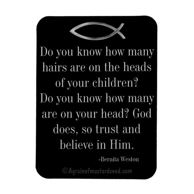 Íman Chaves para Disciplina (Vertical)