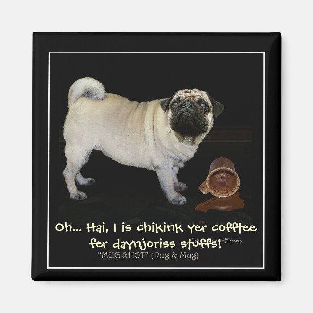 Íman "Checando seu Café..." Divertimento (Frente)