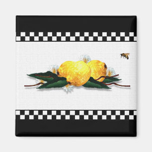 Íman Checkered preto e branco dos limões