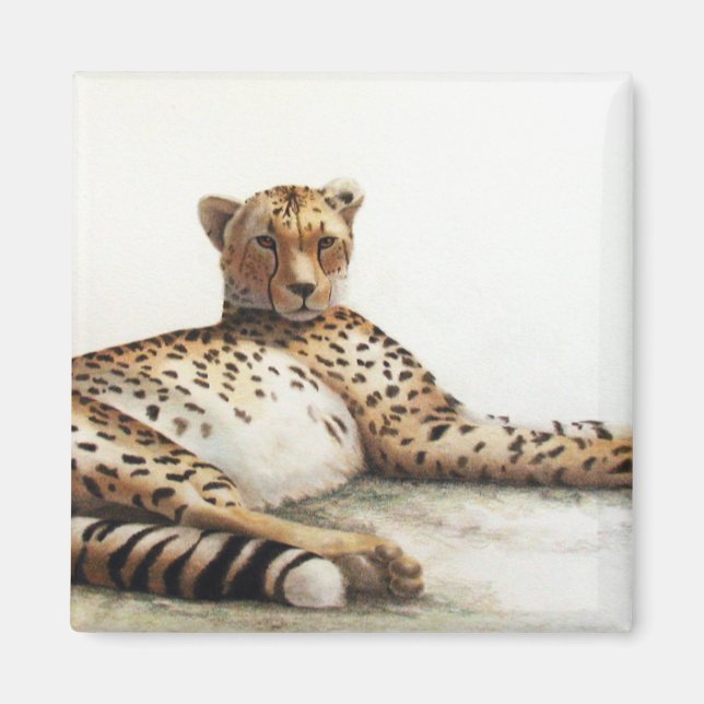 Íman Cheetah (Frente)