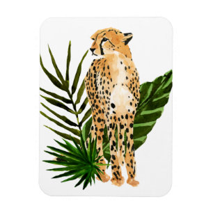 Íman Cheetah Outlook