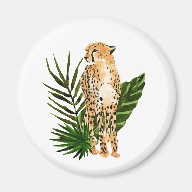 Íman Cheetah Outlook (Frente)