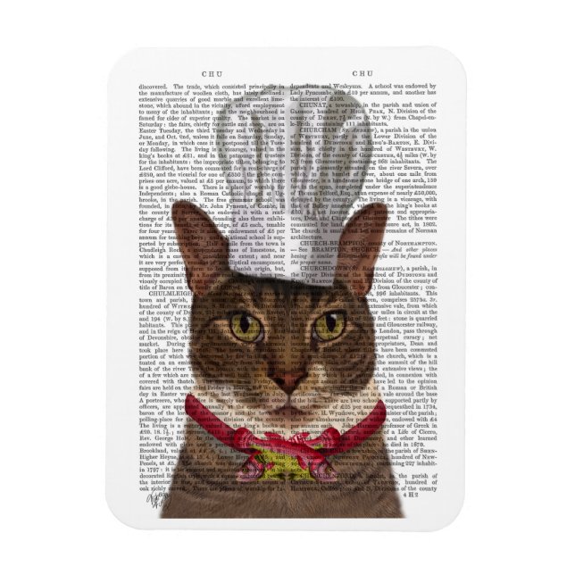 Íman Chef de Gato (Vertical)