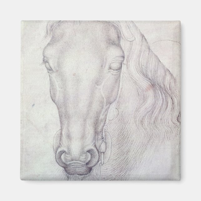 Íman Chefe de Cavalo (Frente)