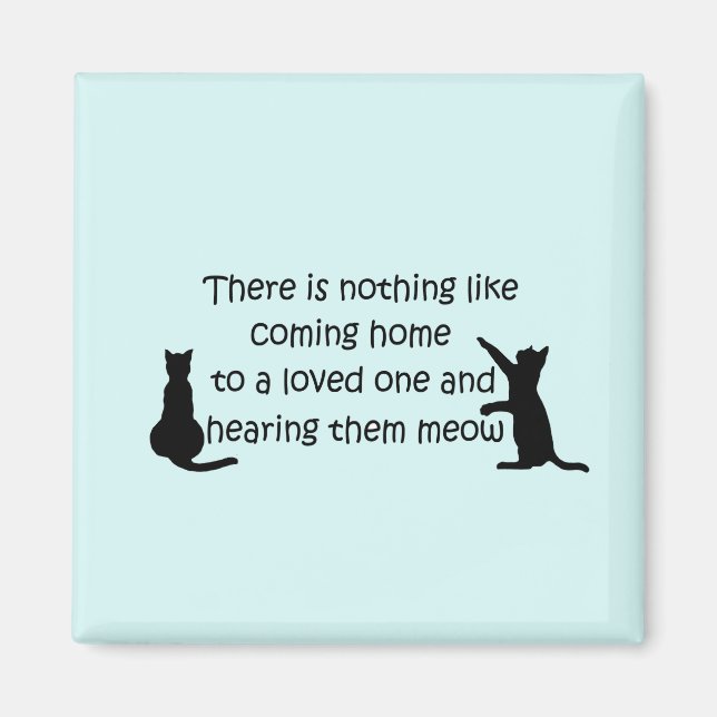 Íman Chegando em casa a um gato (Frente)