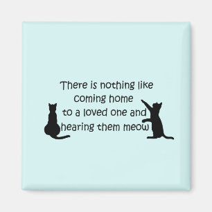 Íman Chegando em casa para um gato