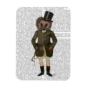 Íman Cheio de cavaleiro Hedgehog