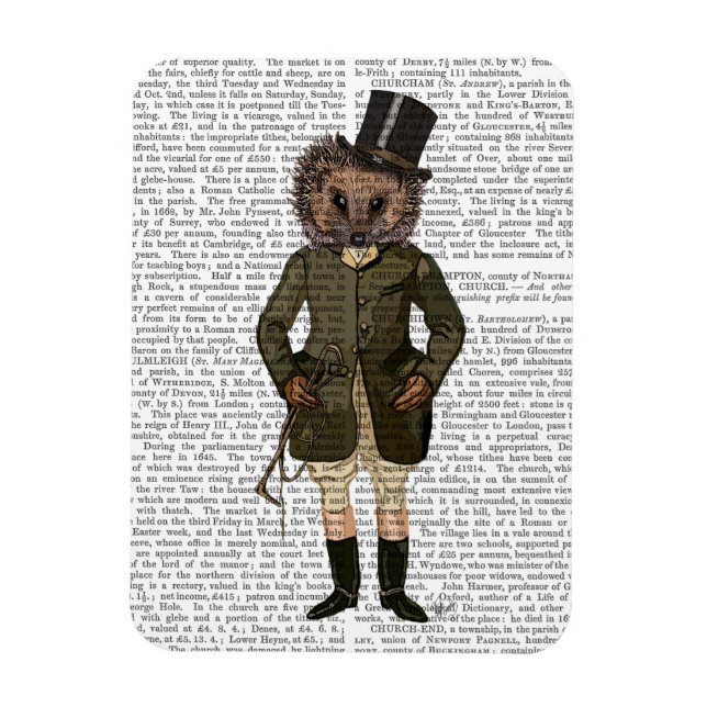 Íman Cheio de cavaleiro Hedgehog (Vertical)