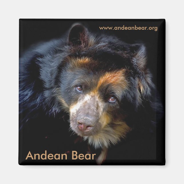 Íman Cheri McEachin Magnet (Frente)