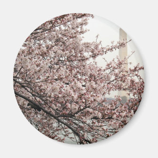Íman Cherry Blossom Washington DC