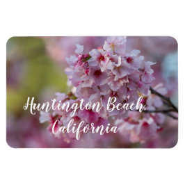 Íman Cherry Blossoms na praia de Huntington