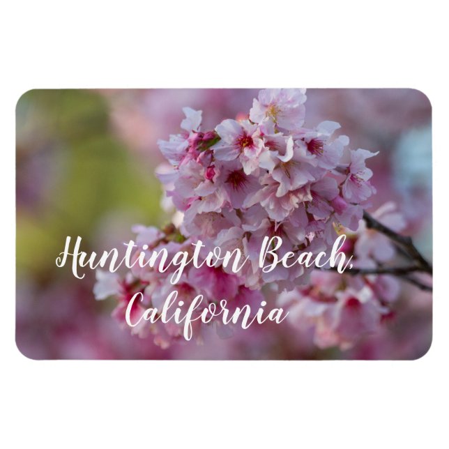 Íman Cherry Blossoms na praia de Huntington (Horizontal)