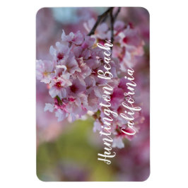 Íman Cherry Blossoms na praia de Huntington