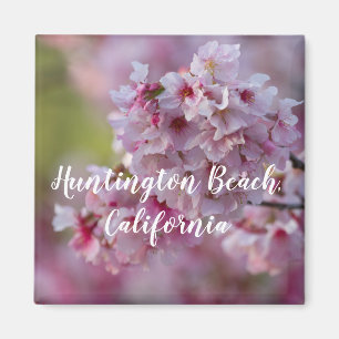 Íman Cherry Blossoms na praia de Huntington