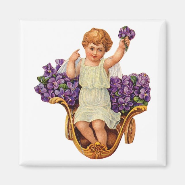 Íman Cherub e Lâminas Roxas (Frente)