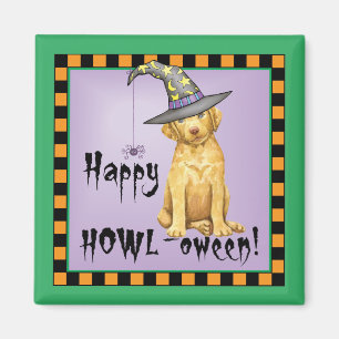 Íman Chessie Witch Magnet