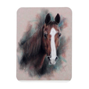 Íman Chestnut Quarter Horse