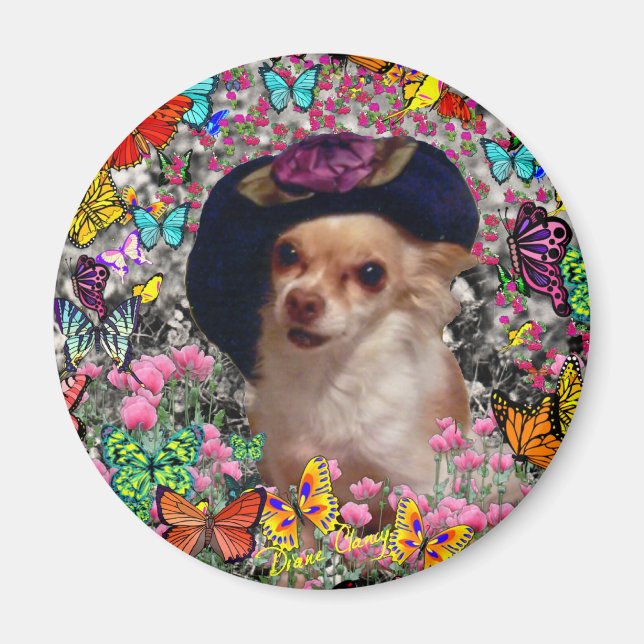 Íman Chi Chi em borboletas - Chihuahua (Frente)