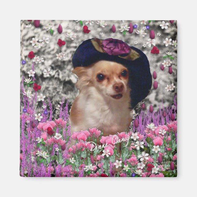 Íman Chi Chi in Flowers - Chihuahua Puppy no Chapéu Bon (Frente)