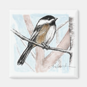 Íman Chickadee